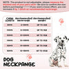 Bling Chain Collar (Dog/Cat)