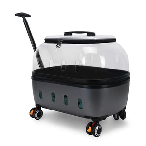 PET Transparent Carrier (Pull/Rod)