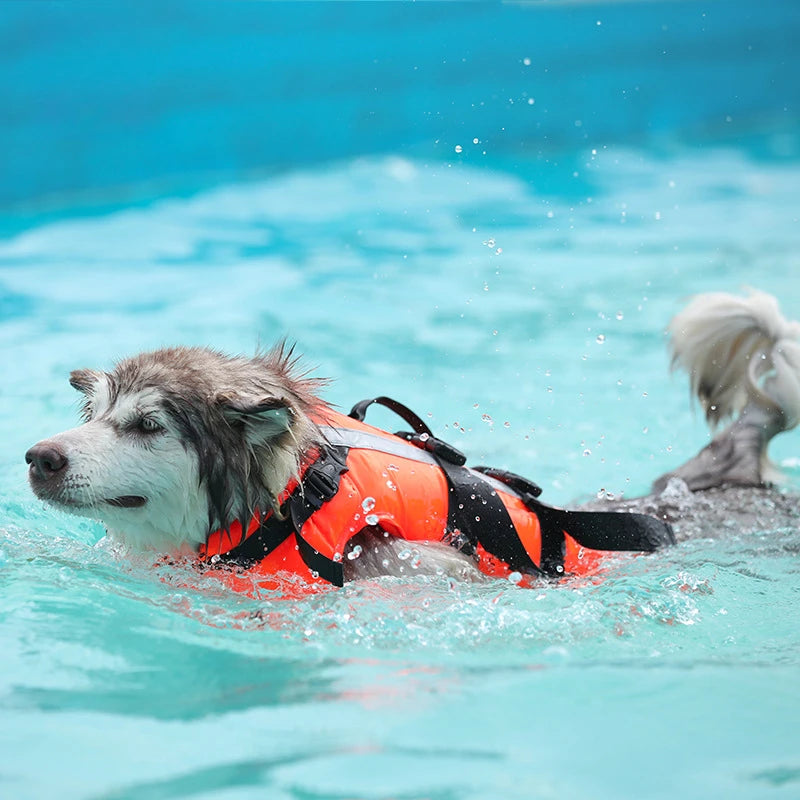 PET Dog (Life-saving) Jacket