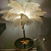 Ostrich Feather Floor Lamps (Certified)