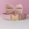 Customized Dog Collar / Leash