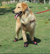 Reflective Dog Shoes (Waterproof Anti-Slip)
