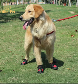 Reflective Dog Shoes (Waterproof Anti-Slip)