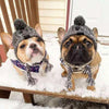 Pet Winter Beannie