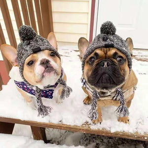Pet Winter Beannie