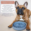 Pet Cat/Dog Slow Food Bowl (USA)