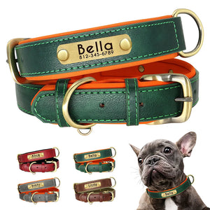 Customized Leather ID Dog Collar