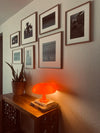 Mushroom Lamp (Italy Designer)
