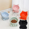 PET Cat Ceramic (spine protection) Bowls