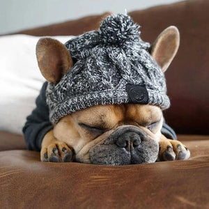 Pet Winter Beannie
