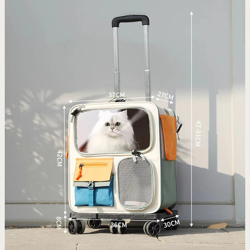 PET Travel Bag (Detachable)