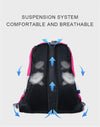 PET (Foldable) Chest/Backpack (Breathable)