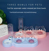 Pet Elevated Cat Bowls (Double)