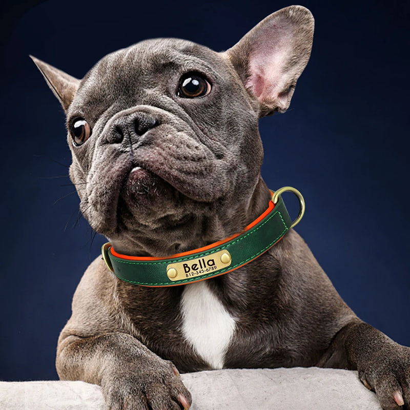 Customized Leather ID Dog Collar