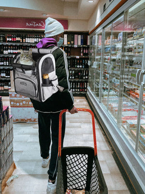Dog Travel (20lb) Carrier Backpack (Foldable)