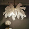 Nordic (Ostrich) Feather Shades