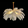 Nordic (Ostrich) Feather Shades