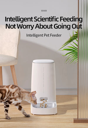 Automatic Pet Feeder (4L)
