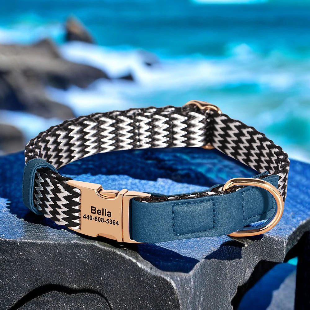 Custom Design Pet Collars