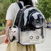 PET Transparent Space Capsule/Backpack