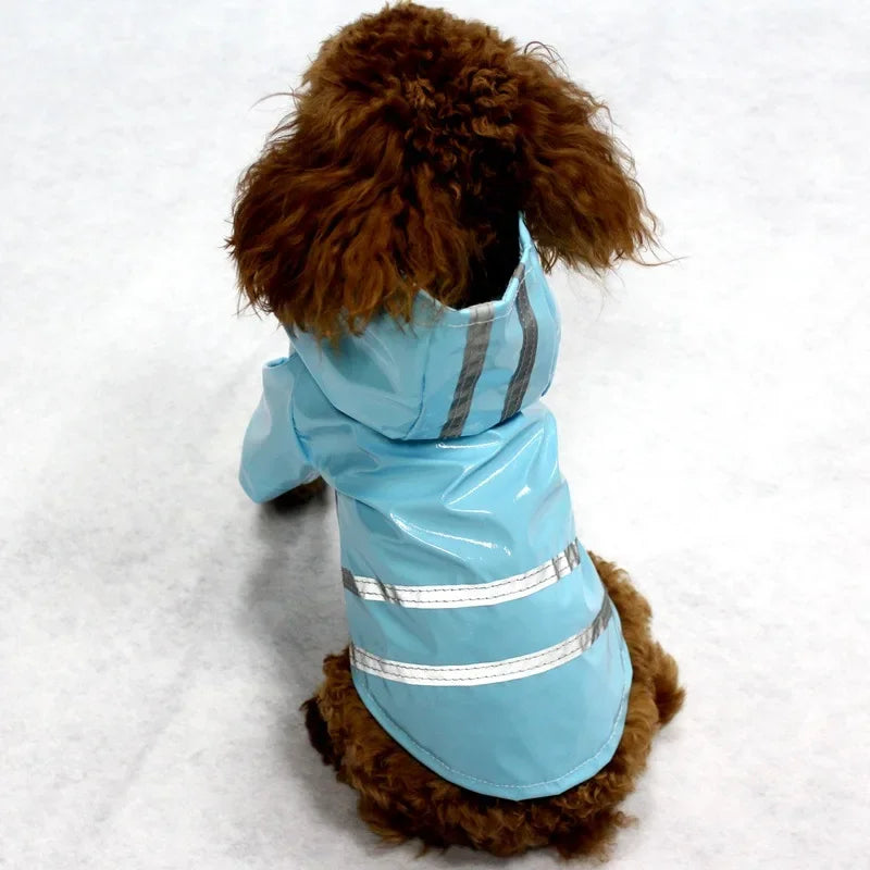 Small Dog (Reflective) Raincoat