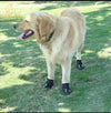 Reflective Dog Shoes (Waterproof Anti-Slip)