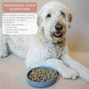 Pet Cat/Dog Slow Food Bowl (USA)
