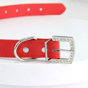 STAR PET Glitter Collars
