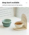 Detachable Pet Feed Bowls (USA)
