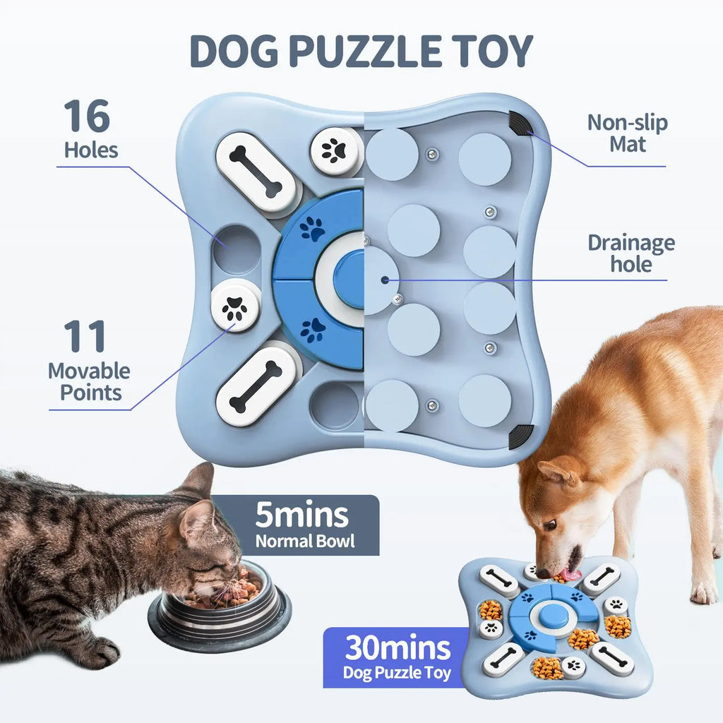 PET Slow Feeder Training