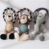 Dog Squeaky Chew Toys