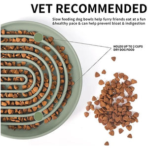 Pet Cat/Dog Slow Food Bowl (USA)