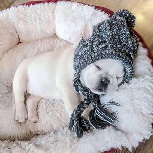 Pet Winter Beannie
