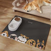 PET Absorbent Floor Mat