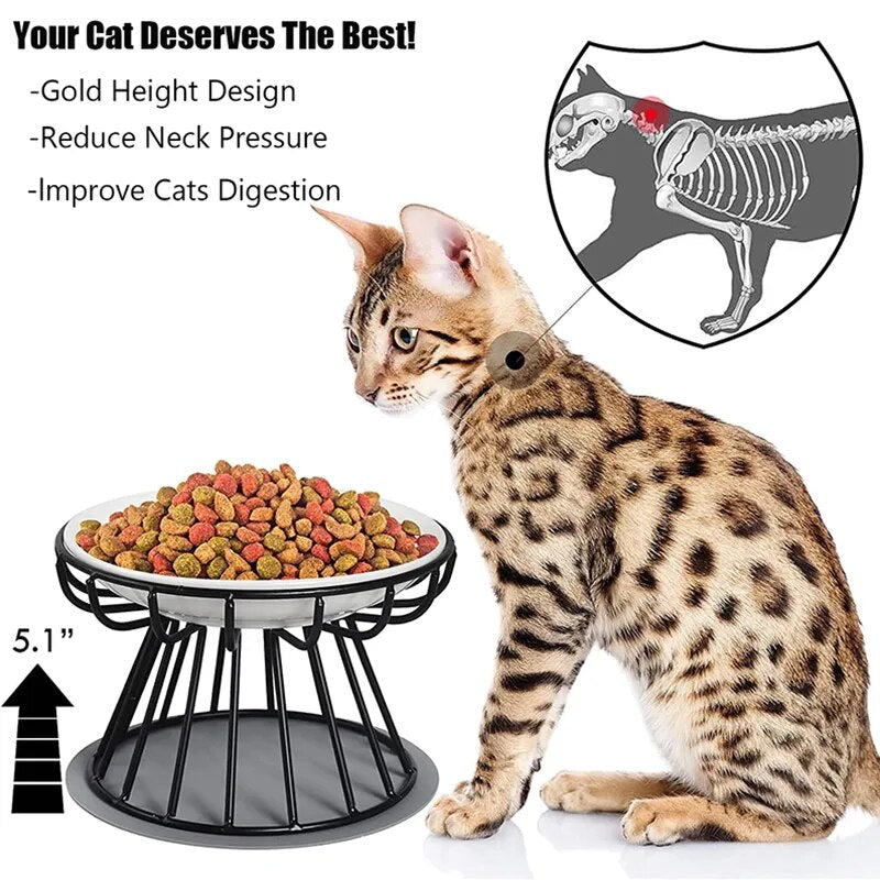 Class Cat Bowls & Mat