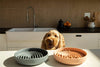 Pet Cat/Dog Slow Food Bowl (USA)