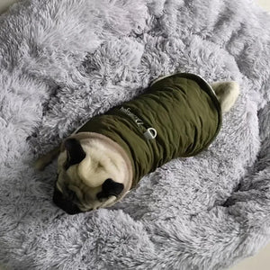 Fur Collar - Winter Dog Jacket