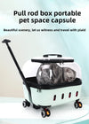 PET Transparent Carrier (Pull/Rod)