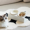 Pet Double Ceramic Bowls (with Stand)(USA)