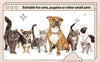 Bling Chain Collar (Dog/Cat)