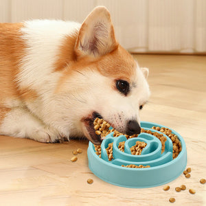 Pet Dog/Cat Slow Feeder Bowls (Non-Slip/Anti-Gulping)