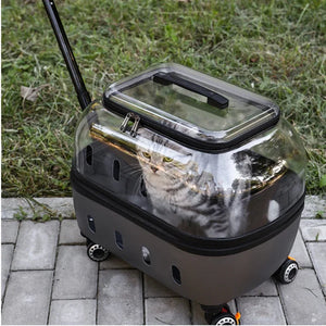 PET Transparent Carrier (Pull/Rod)