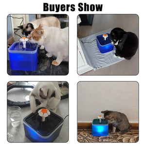 Pet Water LED Dispenser (USA)