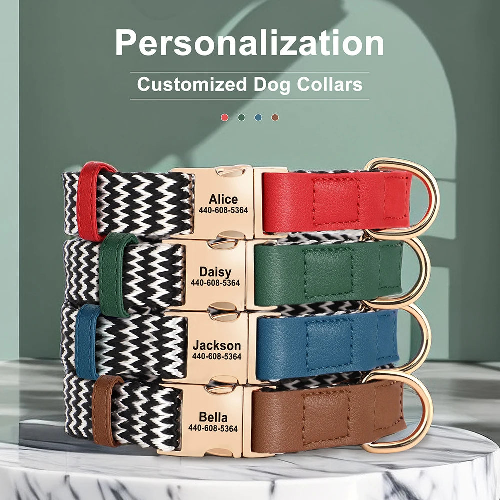 Custom Design Pet Collars