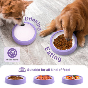 Pet Dog/Cat Slow Feeder Bowls (Non-Slip/Anti-Gulping)