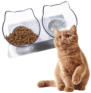 Double Pet Feed Bowl (non-slip)