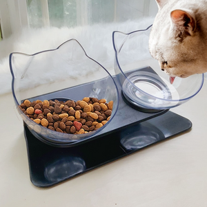 Double Pet Feed Bowl (non-slip)