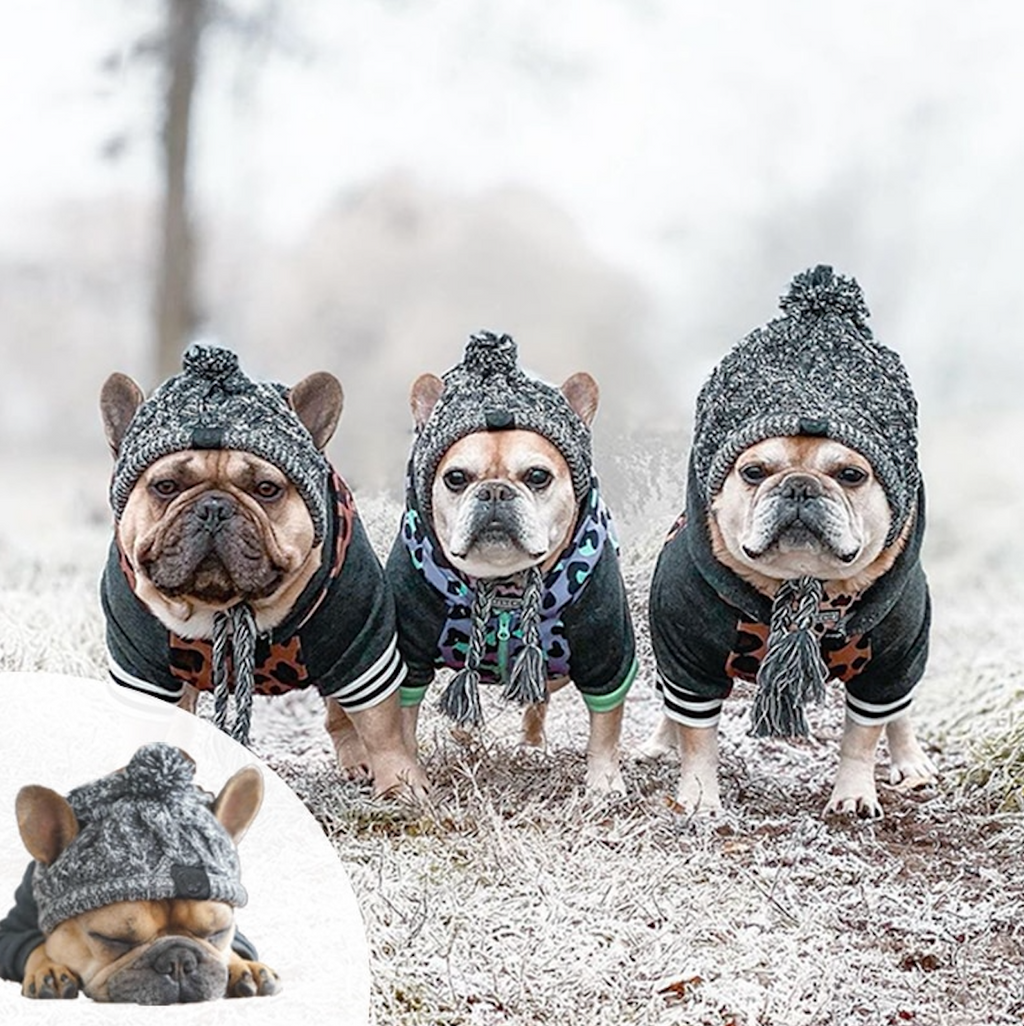 Pet Winter Beannie