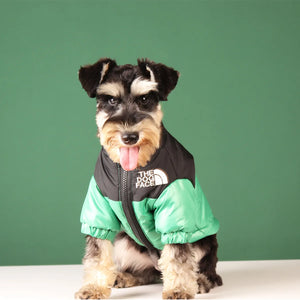 Windproof Pet Dog Jacket