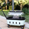 PET Transparent Carrier (Pull/Rod)